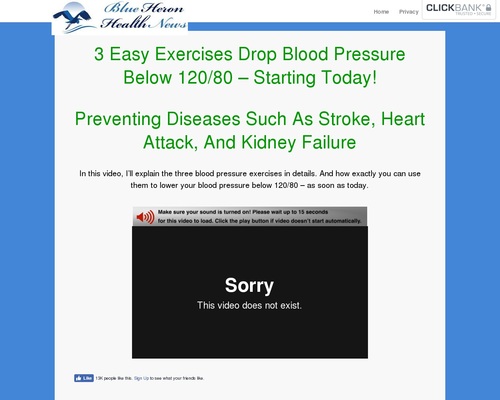 Excessive Blood Stress – Blue Heron Well being Information