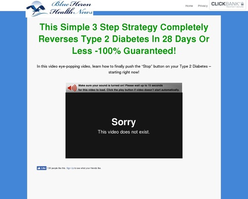 Kind 2 Diabetes Technique sl cb | Blue Heron Well being Information