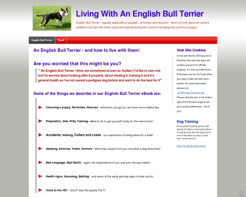 English Bull Terrier | Learn how to stay with and with out them