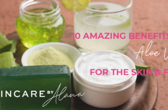 Aloe Vera Pores and skin Advantages – How To Use For Your Face and Physique
