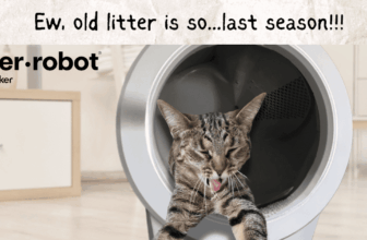 Litter-Robotic 4: What To Know Earlier than You Purchase