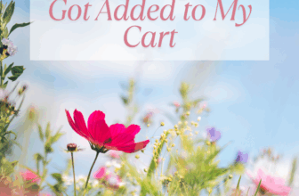 Spring Issues That Obtained Added to My Cart