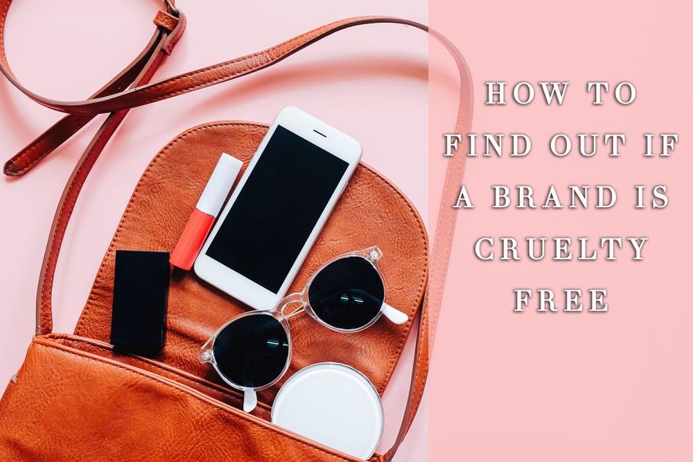 How Do I Discover Out if a Model is Cruelty Free?