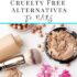 Greatest Cool Toned Eyeshadow Palettes for 2026