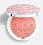 I Did Order The Dior Ceaselessly Glow Luminizer from the Summer time 2025 Assortment