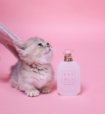 Kayali Kitten Musk Is Giving Demeter Kitten Fur