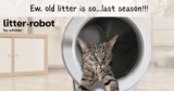 Litter-Robotic 4: What To Know Earlier than You Purchase