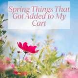 Spring Issues That Obtained Added to My Cart