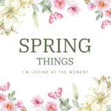 Springs Issues I am Loving at The Second