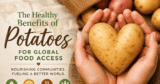 What Wholesome Advantages Of Potatoes Make Them Perfect For World Meals Entry?