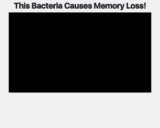 ProMind Complicated – Textual content Presentation