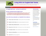 English Bull Terrier | Learn how to stay with and with out them