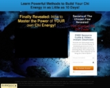 Qigong Energy Coaching System
